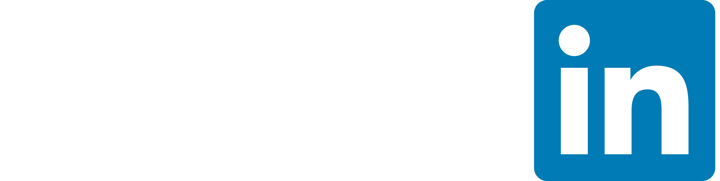 LinkedIn Marketing Partner